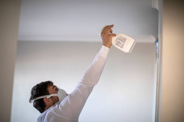 Best Commercial Mold Removal  in Dexter, OR