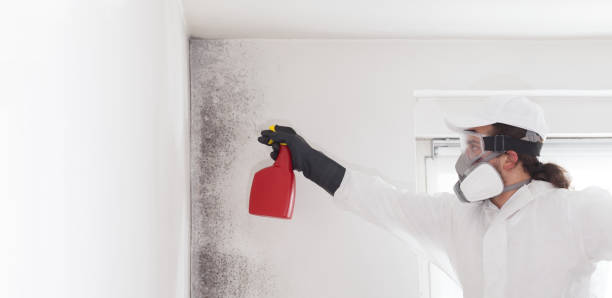 Best Mold Remediation  in Dexter, OR