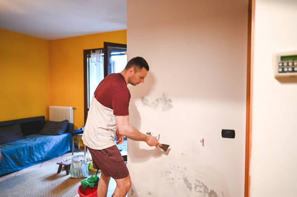 Best Toxic Mold Removal  in Dexter, OR